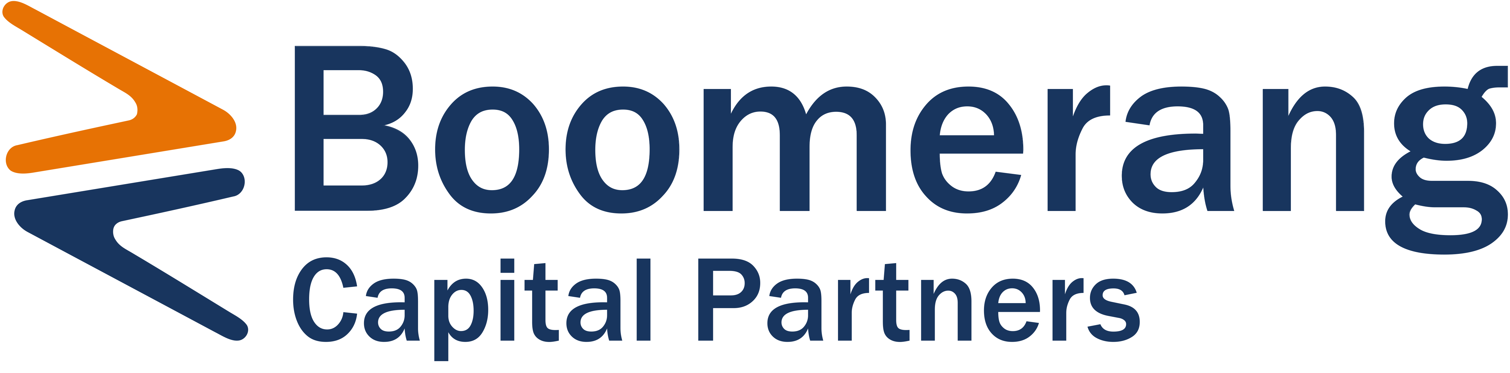 boomy_logo